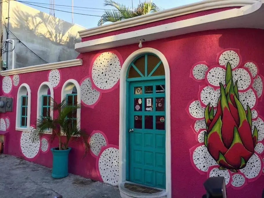 Holiday home Casa Pitahaya - 2 Rooms/Private Pool Isla Mujeres