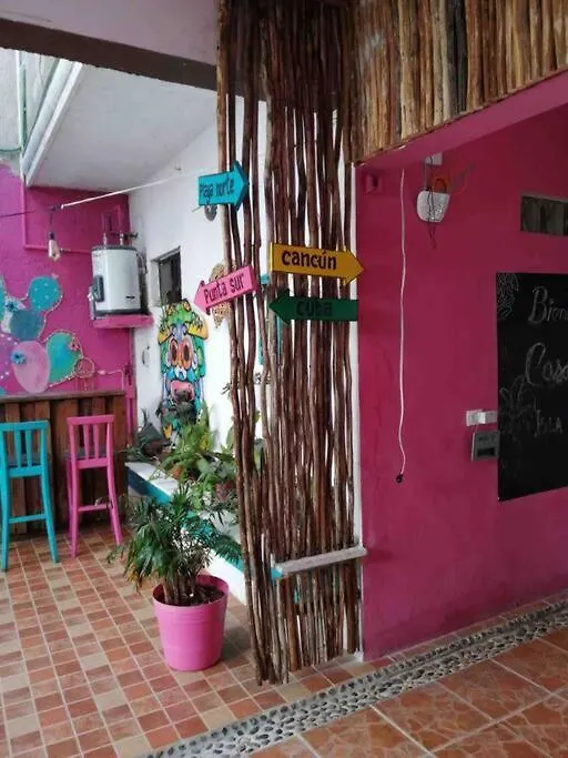 Casa Pitahaya - 2 Rooms/Private Pool Isla Mujeres 0*,  Mexico