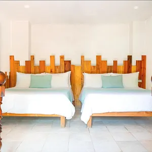 Mayan Monkey - Social (adults Only) Isla Mujeres
