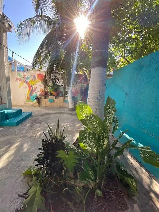 Casa Pitahaya - 2 Rooms/Private Pool Isla Mujeres